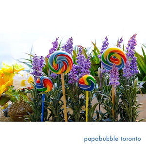 Round Lollipop - Rainbow Swirl