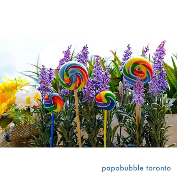 Round Lollipop - Rainbow Swirl