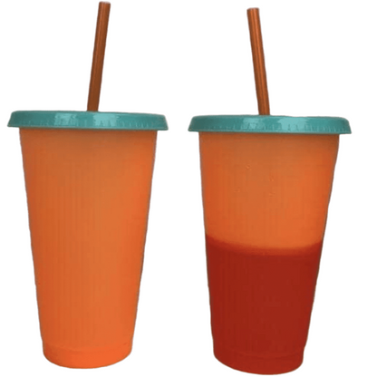 Colour Change Tumblers with Straw - Lavish & Glamourous Designs