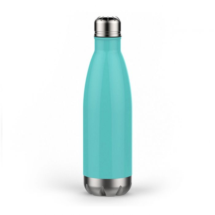 Anchor Water Bottle | Natural Born Chiller | Mint